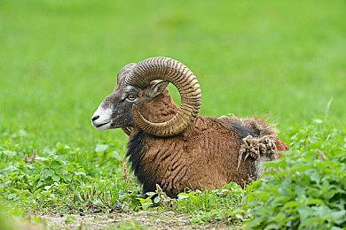 《奇异人生》厂商新作《谓何》限期免费发布 超能力冒险