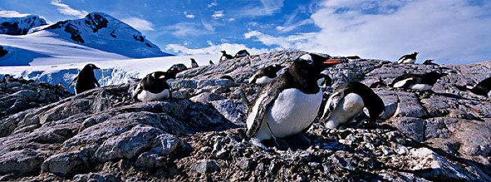 《碧海黑帆》新宣传片公布 海战刺激让人血脉偾张